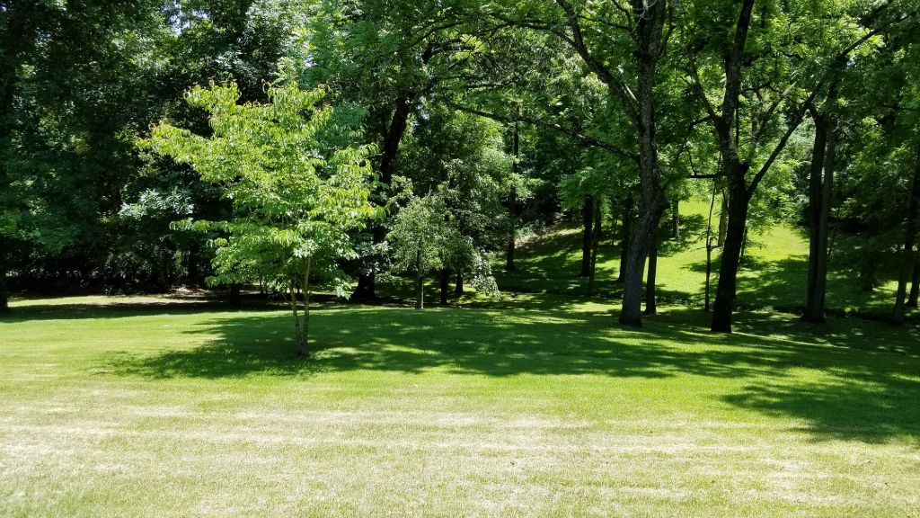 View of Back Yard & Park Like Setting