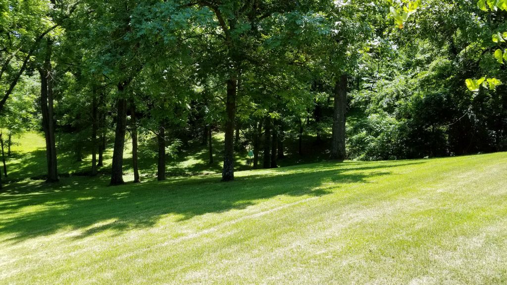 View of Back Yard & Park Like Setting