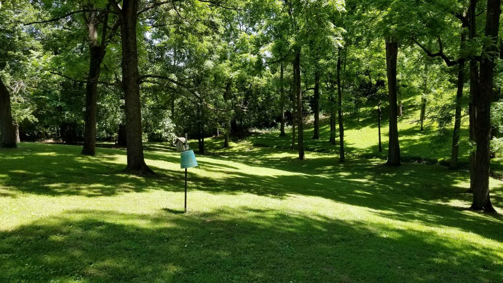 View of Back Yard & Park Like Setting