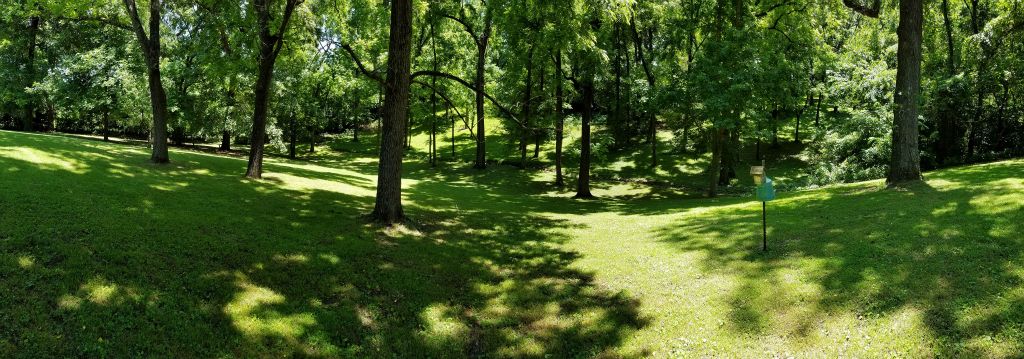 View of Back Yard & Park Like Setting